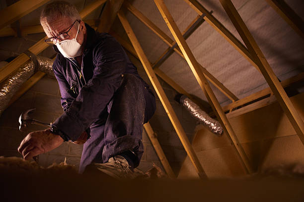 Best DIY Insulation Kits and Guidance in Crow Agency, MT